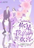 你是我满世欢喜全文免费阅读