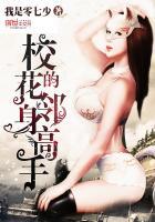 校花的贴身高手之凌傉