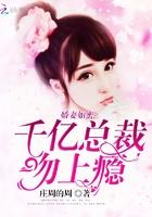 一胎两宝总裁的千亿娇妻