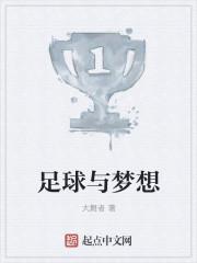 足球与梦想征文600字