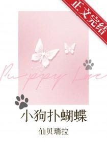 小狗扑蝴蝶看图写话