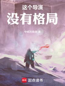 这个导演没有格局电子书