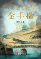 我在诸天搜集金手指 第401章