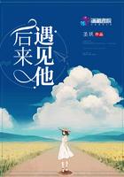 后来遇见他文案